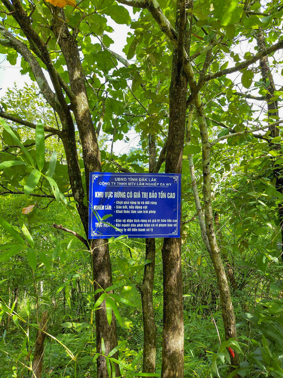 Bảo vệ động thực vật rừng